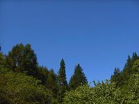 きれいな空